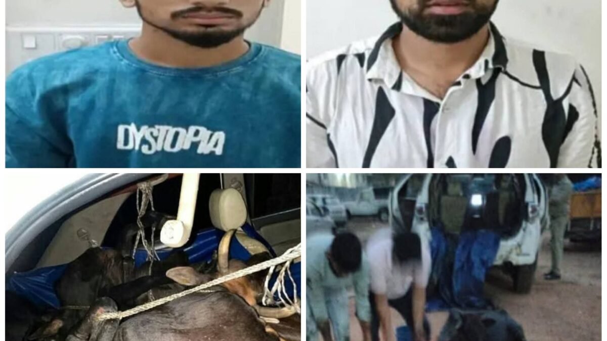 ಬಜಪೆ: ಫಾರ್ಚೂನರ್ ಕಾರಿನಲ್ಲಿ ಅಕ್ರಮ ದನ ಸಾಗಾಟ; ಇಬ್ಬರ ಬಂಧನ, ₹8.42 ಲಕ್ಷದ ಸೊತ್ತು ವಶ