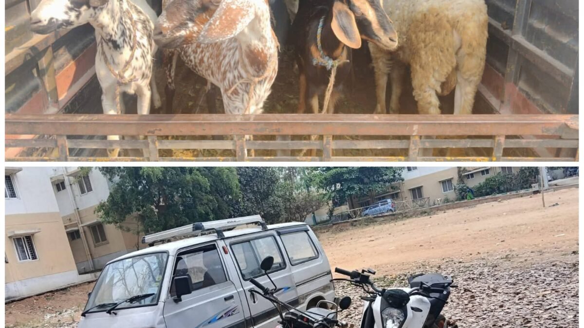 ಕುರಿ-ಮೇಕೆ ಕಳ್ಳತನ: ಇಬ್ಬರು ಆರೋಪಿಗಳ ಬಂಧನ, 2.80 ಲಕ್ಷ ರೂ. ಮೌಲ್ಯದ ಸ್ವತ್ತು ವಶ