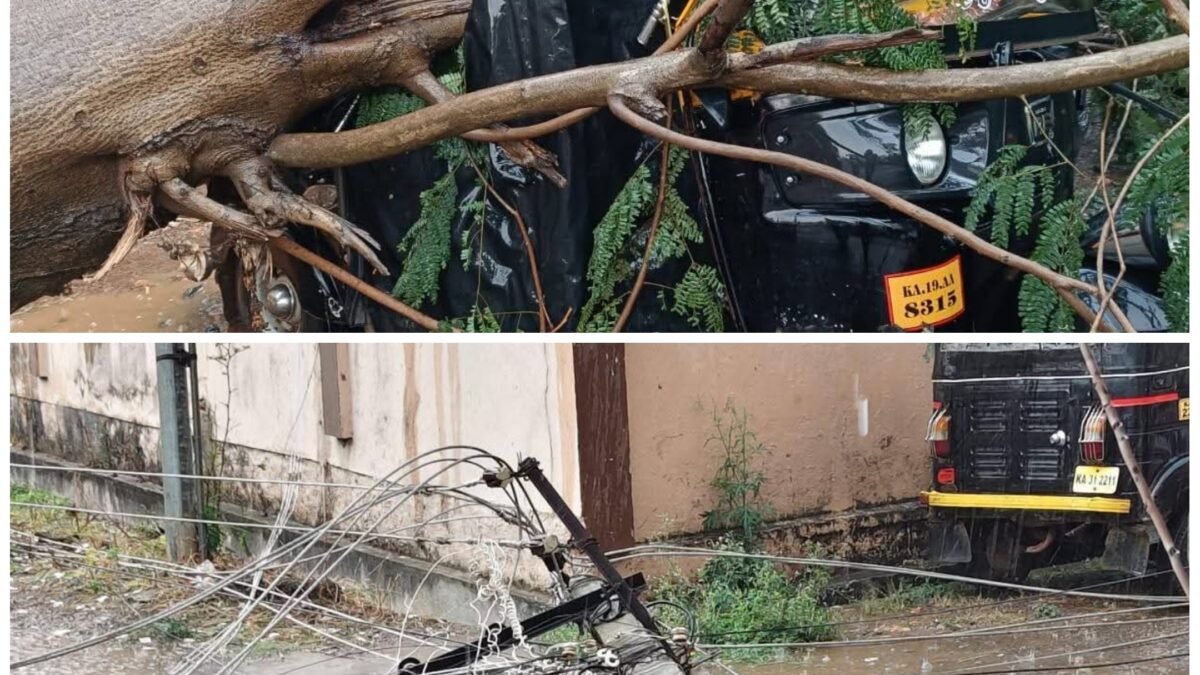 ರಾಣೆಬೆನ್ನೂರಿನಲ್ಲಿ ವರುಣನ ಅಬ್ಬರ: ಮರ ಬಿದ್ದು ಆಟೋ ಜಖಂ, ಹತ್ತಕ್ಕೂ ಹೆಚ್ಚು ವಿದ್ಯುತ್ ಕಂಬಗಳು ನೆಲಸಮ