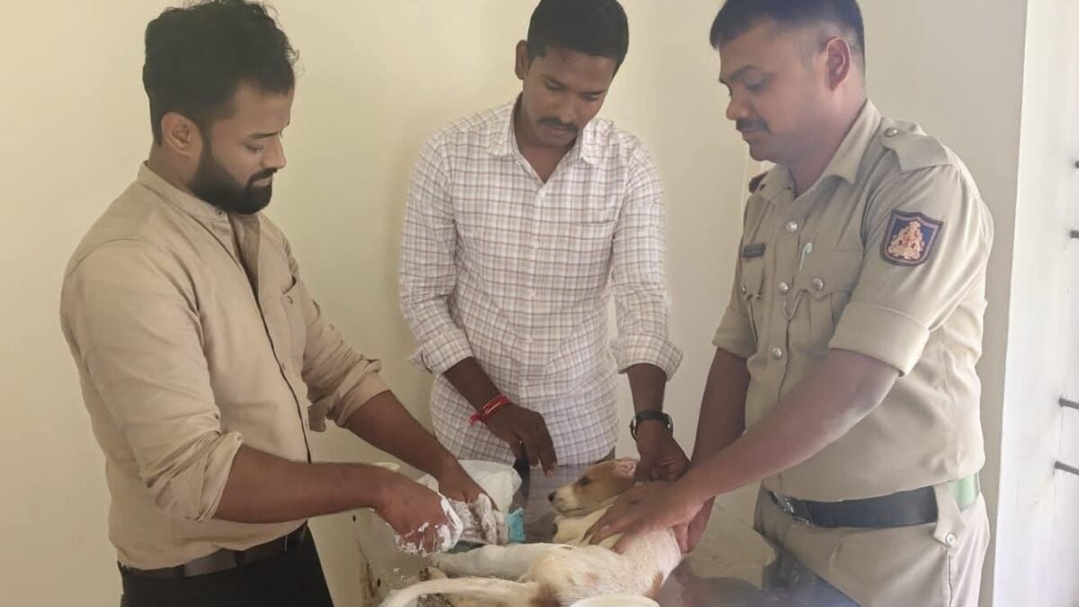 ಪೊಲೀಸರ ಮಾನವೀಯತೆ: ಅಪಘಾತದಲ್ಲಿ ಗಾಯಗೊಂಡು ನರಳುತ್ತಿದ್ದ ಶ್ವಾನಕ್ಕೆ ಚಿಕಿತ್ಸೆ ಕೊಡಿಸಿದ ಸುಂಟಿಕೊಪ್ಪ ಖಾಕಿ ಪಡೆ!