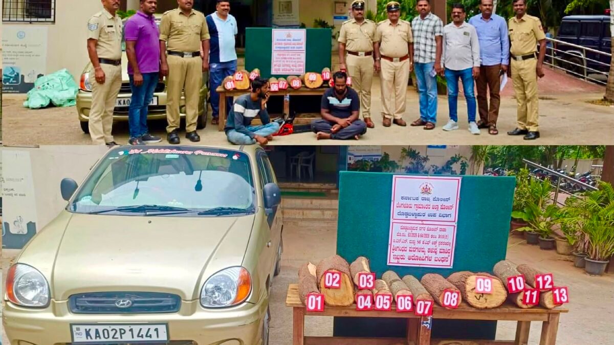 ದೊಡ್ಡಬಳ್ಳಾಪುರ: ಶಾಲಾ ಆವರಣದಲ್ಲಿದ್ದ ಗಂಧದ ಮರ ಕಳ್ಳತನ; ಇಬ್ಬರು ಆರೋಪಿಗಳ ಬಂಧನ, 200 ಕೆ.ಜಿ ಗಂಧದ ತುಂಡುಗಳು ಜಪ್ತಿ