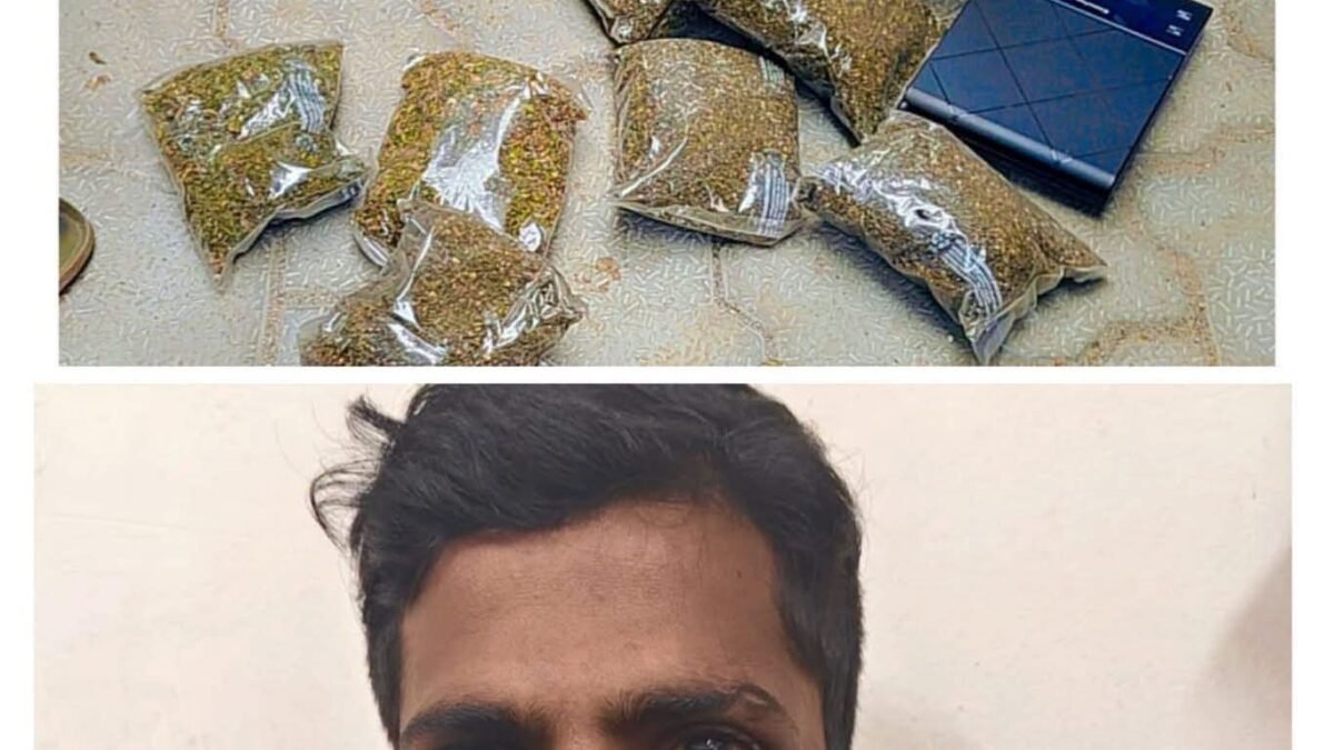 ಡ್ರಗ್ ಪೆಡ್ಲರ್ ಬಂಧನ; 700 ಗ್ರಾಂ ಗಾಂಜಾ, 230 ಮೊಬೈಲ್‌, 17 ಮಾರಕಾಸ್ತ್ರ ವಶಪಡಿಸಿಕೊಂಡ ಬ್ಯಾಟರಾಯನಪುರ ಪೊಲೀಸರು