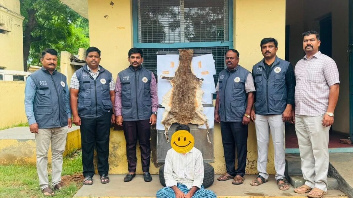ಬಳ್ಳಾರಿಯಲ್ಲಿ ಕೃಷ್ಣಮೃಗದ ಚರ್ಮ ಮಾರಾಟ ಜಾಲ ಪತ್ತೆ: ಅರಣ್ಯ ಸಂಚಾರಿ ದಳದ ದಾಳಿಗೆ ಆರೋಪಿ ಅರೆಸ್ಟ್!