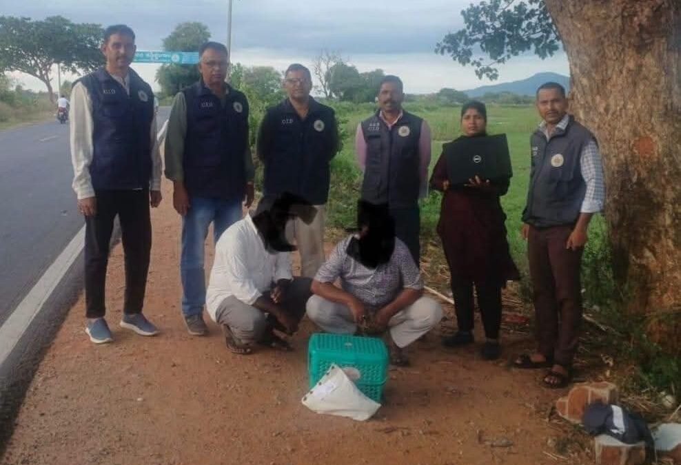 ಜೀವಂತ ಉಡ ಅಕ್ರಮ ಸಾಗಾಟ – ಸಿಐಡಿ ಅರಣ್ಯ ಘಟಕದ ಅಧಿಕಾರಿಗಳಿಂದ ಇಬ್ಬರ ಬಂಧನ