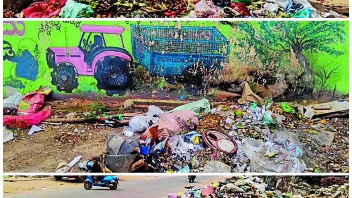 ದೊಮ್ಮಸಂದ್ರ ಸೌಂದರ್ಯಕ್ಕೆ ಕಸದ ಕಪ್ಪು ಚುಕ್ಕೆ: ಅನೈರ್ಮಲ್ಯದಿಂದ ಸಾರ್ವಜನಿಕರ ಪರದಾಟ