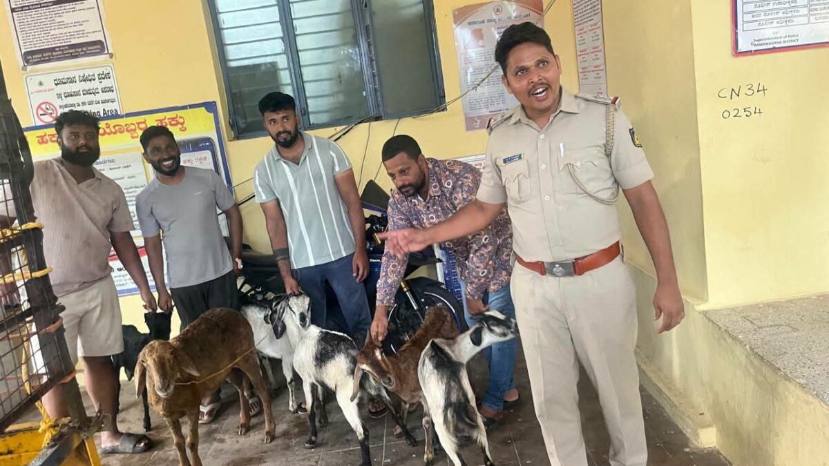 ಕುರಿ ಹಾಗೂ ಮೇಕೆ ಕಳ್ಳತನ ಪ್ರಕರಣ – ಇಬ್ಬರು ಆರೋಪಿಗಳ ಬಂಧನ, 15 ಮೇಕೆ, 1 ಕುರಿ ವಶ