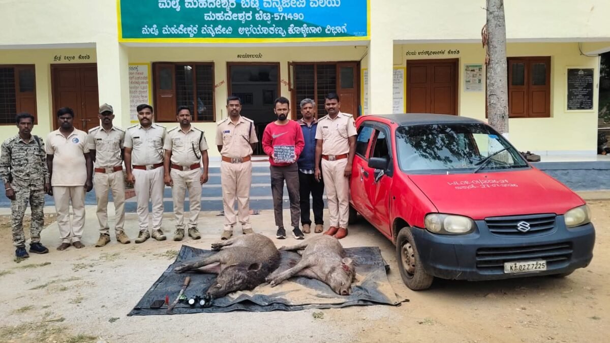 ಮಲೆ ಮಹದೇಶ್ವರ ಬೆಟ್ಟದಲ್ಲಿ ಕಾಡುಹಂದಿ ಬೇಟೆ: ಓರ್ವ ಆರೋಪಿ ಬಂಧನ, ಮೂವರು ಪರಾರಿ