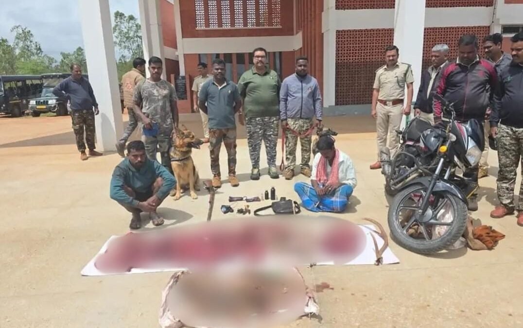 ಅಕ್ರಮ ಬೇಟೆಗಾರರ ಮೇಲೆ ಎಸ್‌ಟಿಪಿಎಫ್ ದಾಳಿ: ಇಬ್ಬರ ಬಂಧನ, 30 ಕೆ.ಜಿ. ಜಿಂಕೆ ಮಾಂಸ, ಬಂದೂಕು ವಶ