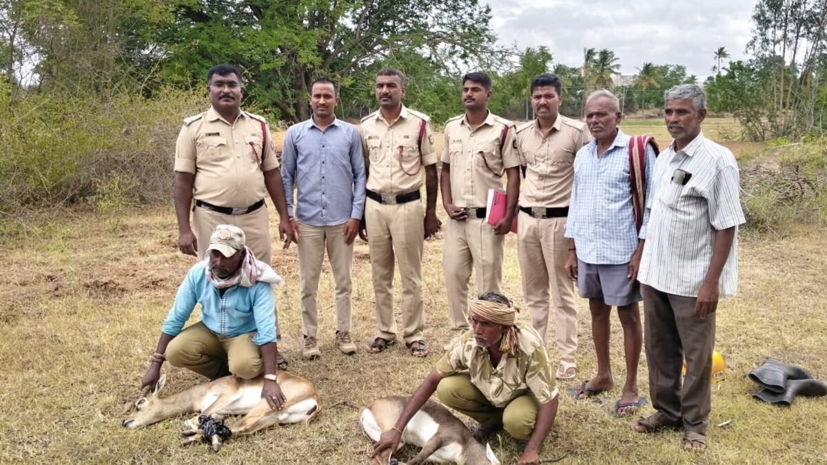 ಚಿಂತಾಮಣಿ: 60 ಅಡಿ ಆಳದ ಬಾವಿಗೆ ಬಿದ್ದಿದ್ದ ಎರಡು ಕೃಷ್ಣಮೃಗಗಳ ರಕ್ಷಣೆ