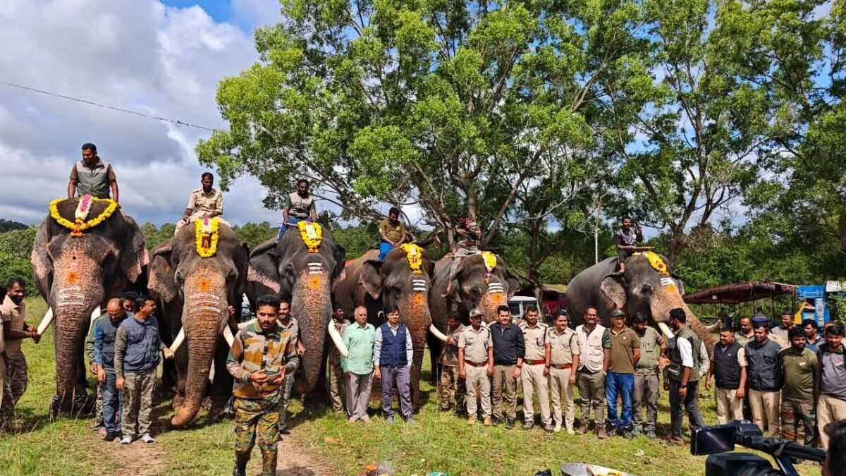ಬೇಲೂರು: ಬಿಕ್ಕೊಡು ಭಾಗದಲ್ಲಿ ಆನೆ ಸೆರೆ ಕಾರ್ಯಾಚರಣೆಗೆ ಚಾಲನೆ — ‘ಕ್ಯಾಪ್ಟನ್ ಪ್ರಶಾಂತ್’ ಪಡೆಯ ಗಜಪಡೆಗೆ ಪೂಜೆ ಸಲ್ಲಿಕೆ