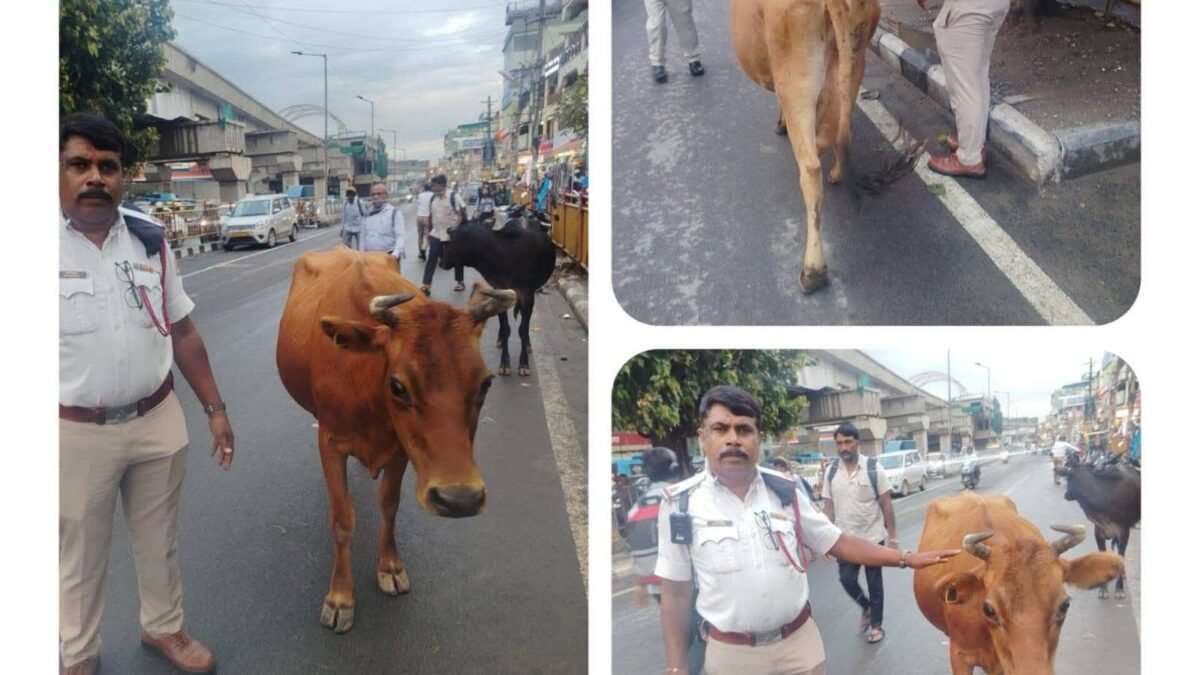 ರಸ್ತೆಯಲ್ಲಿ ಹಸುಗಳಿಂದ ತೀವ್ರ ಟ್ರಾಫಿಕ್ ಜಾಮ್: ಮಾಲೀಕನ ವಿರುದ್ಧ ಬಿತ್ತು FIR!