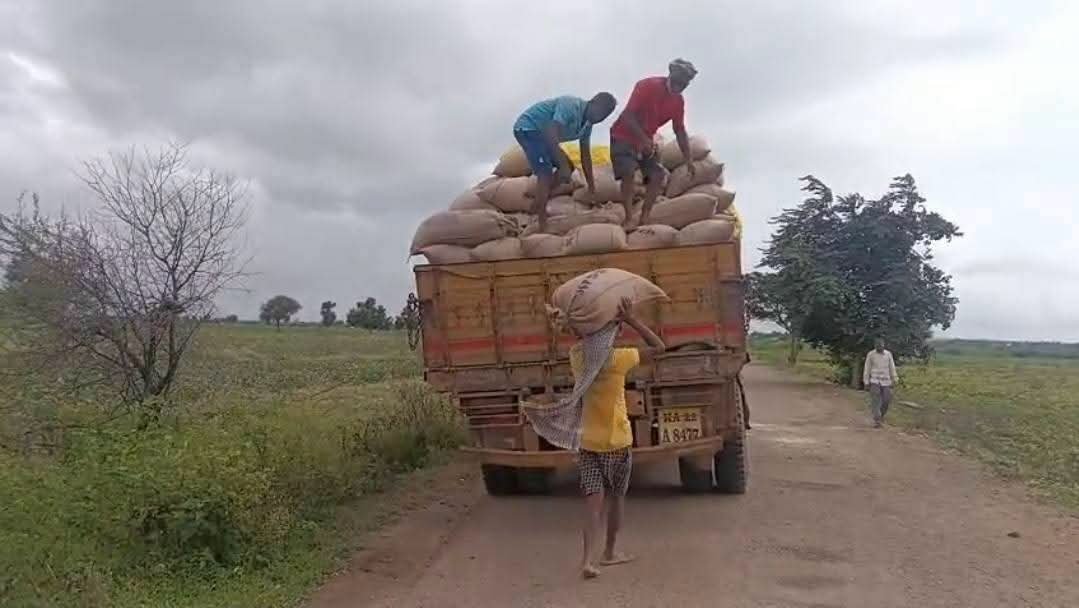 ಕುಂದಗೋಳದಲ್ಲಿ ರಸ್ತೆಪಾಲಾಯ್ತು 1500 ಕೆಜಿ ಪಡಿತರ ಜೋಳ: ಆಹಾರ ಇಲಾಖೆ ಅಧಿಕಾರಿಗಳ ವಿರುದ್ಧ ಜನಾಕ್ರೋಶ!