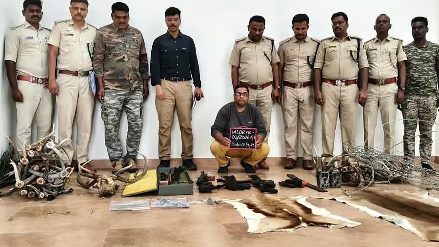 ಬಂಡೀಪುರ: ಜಮೀನಿನ ಶೆಡ್‌ನಲ್ಲಿ ಅಕ್ರಮವಾಗಿ ಬಾಂಧವ್ಯ ಹೊಂದಿದ್ದ ಜಿಂಕೆ ಕೊಂಬು, ಕೋವಿ ವಶ; ಕೃತ್ಯಕ್ಕೆ ಬೆಂಬಲ ನೀಡಿದ ಶಂಕಿತ ಬಂಧನ