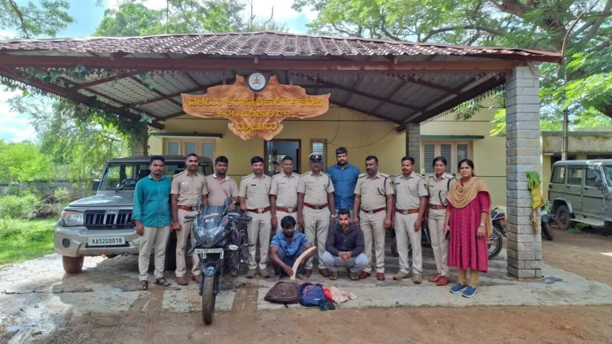 ಮೈಸೂರು ಸಮೀಪ ಆನೆ ದಂತ ಮಾರಾಟ ಜಾಲ ಭೇದಿಸಿದ ಅರಣ್ಯ ಸಂಚಾರಿ ದಳ: ಇಬ್ಬರ ಬಂಧನ, ದಂತ ಹಾಗೂ ಬೈಕ್ ಜಪ್ತಿ!