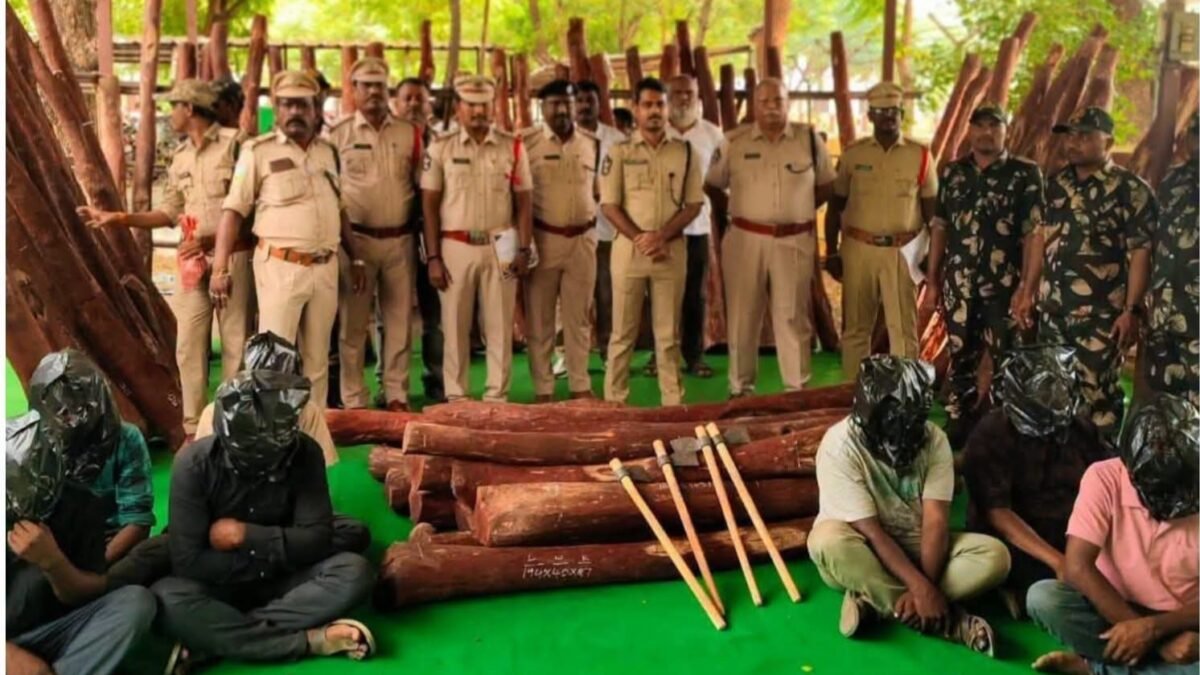 ಕಾಫಿ ಪುಡಿ ಪ್ಯಾಕೆಟ್‌ಗಳ ಮರೆಯಲ್ಲಿ ಕೋಟಿ ಮೌಲ್ಯದ ಕೆಂಪು ಚಂದನ ಸಾಗಣೆ: ಜಾಲ ಭೇದಿಸಿದ ಕಡಪ ಪೊಲೀಸರು, 8 ಮಂದಿ ಬಂಧನ